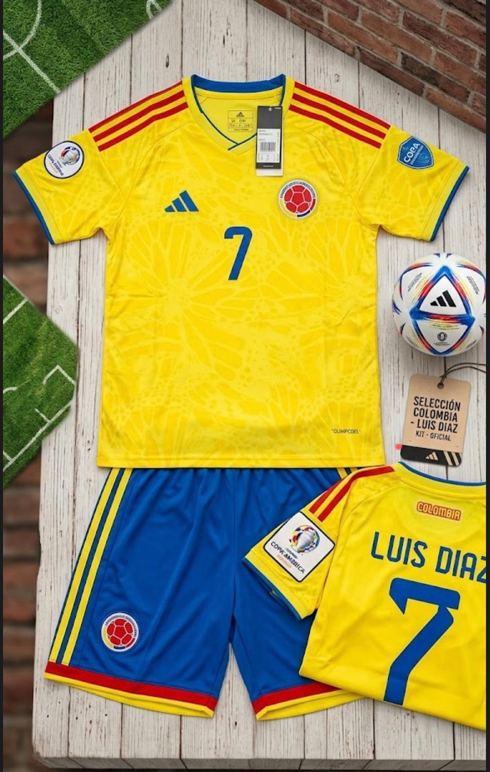 CAMISETA DE LA TRICOLOR